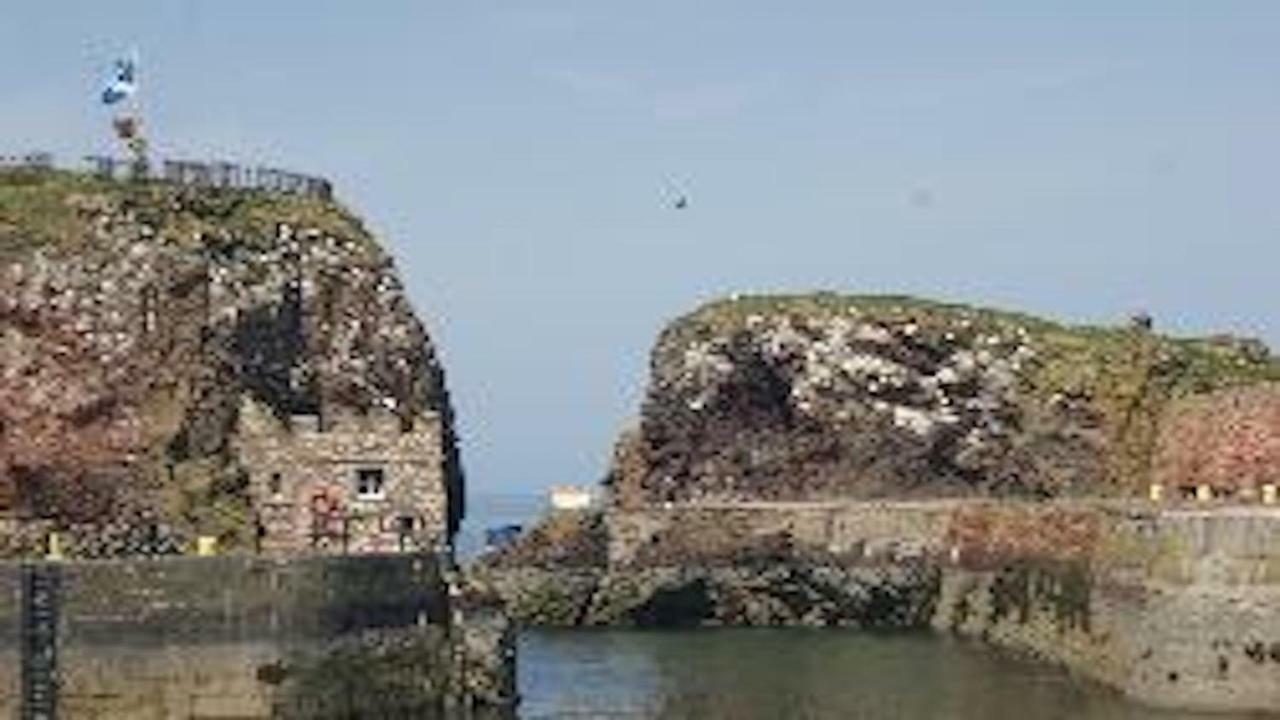 Caravan On Fantastic Site Dunbar Exterior photo